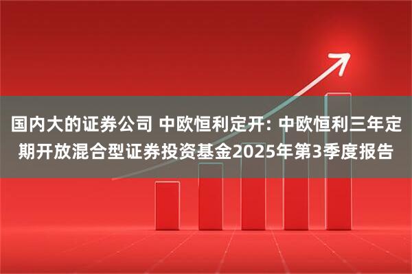 国内大的证券公司 中欧恒利定开: 中欧恒利三年定期开放混合型证券投资基金2025年第3季度报告