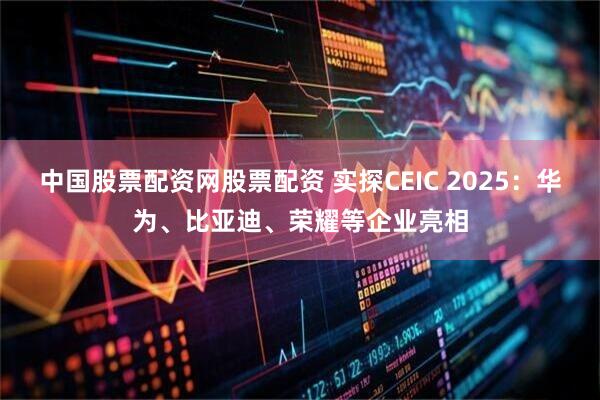 中国股票配资网股票配资 实探CEIC 2025:华为、比亚迪、荣耀等企业亮相